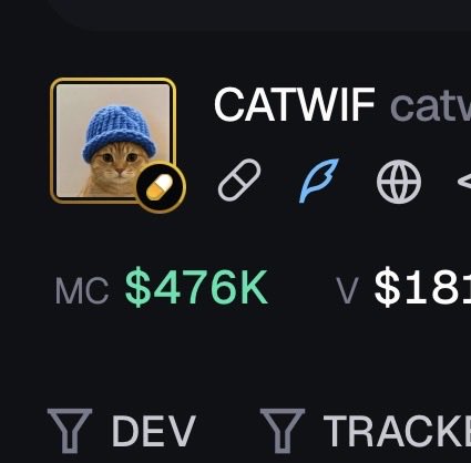 Kingstaccz's tweet photo. Before Catwif ran to 3.5 million

We ran to 1.3 million in 24 hours 

It then nuked all the way down to 180k

Then we flew straight to 3.5 million

If you think I would give up now, you’re smoking crack!

MOON solana:5pYB12kEhfhSFXJjZ7JtyqDpt6uUqhsF6iu6Ee9spump https://t.co/F1JcwQ6tp1