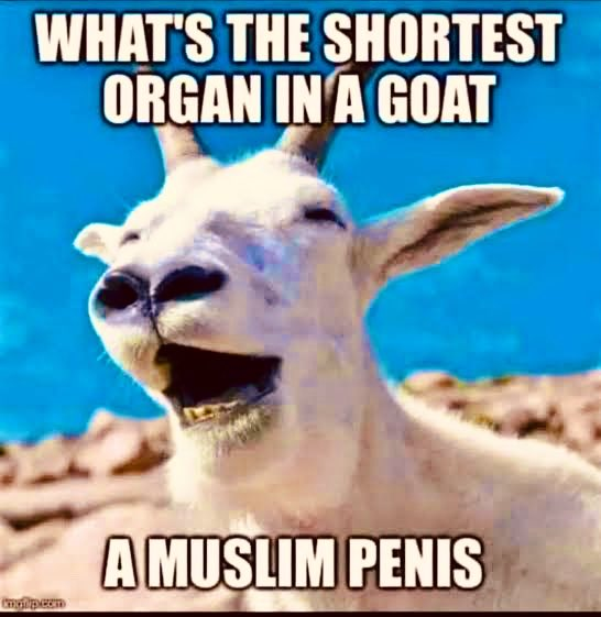 muhammadfvcker's tweet photo. LEAVE THE GOATS ALONE

fuck islam https://t.co/14yQk0FDlY