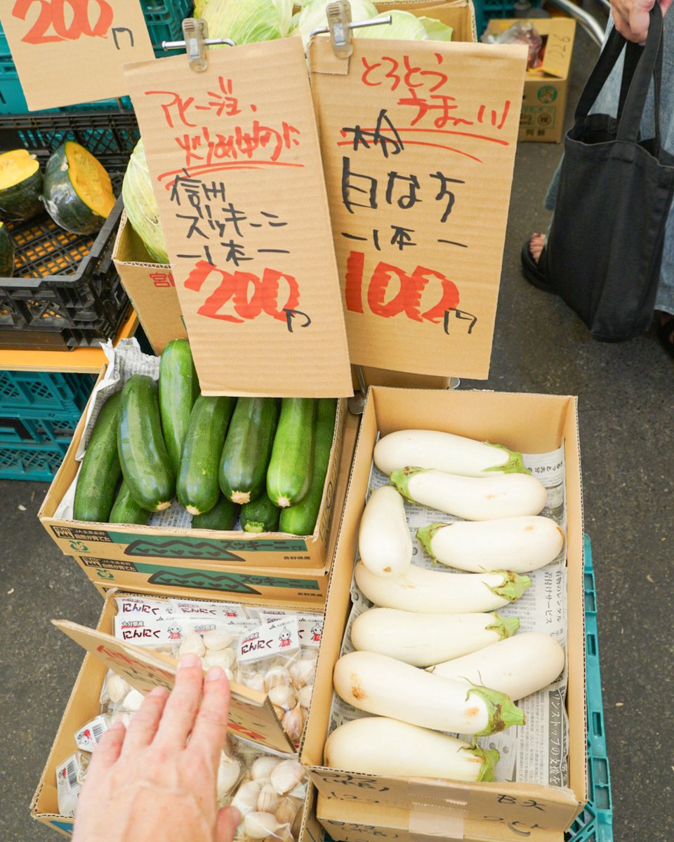 とろーり食感がたまらない 大分県産白なす1本100円 炒めものや
