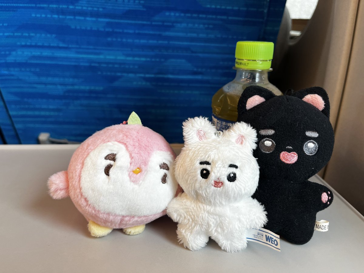 amiamidio's tweet photo. 出発しました🚄 https://t.co/BA0Scu0DGX