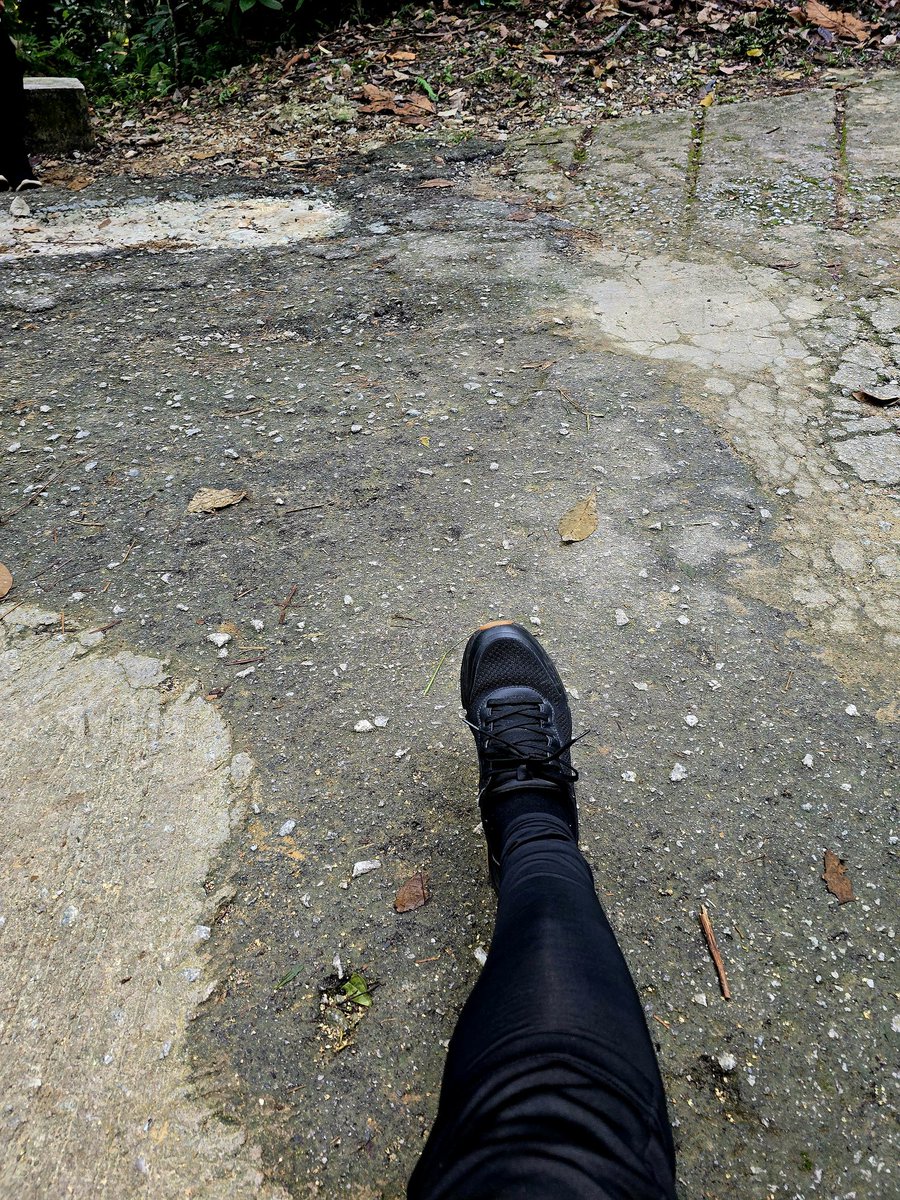 Ecopark20's tweet photo. Hiking Bukit Dinding, AU3 . https://t.co/ZxNaOOBhYL
