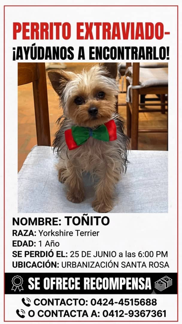yaracalcagno's tweet photo. Atención Urb. Santa Rosa. Se busca. https://t.co/UoA4fUISl4