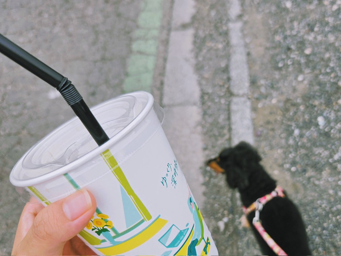 kmnmnyan's tweet photo. お友達がタンブラーくれたから、アイスコーヒー買ってタンブラーに装着しよ〜！ってわんちゃんのお散歩がてらにコンビニ行ったんだけど…
わんちゃんがなかなかおうち帰ってくれなくて、お散歩の途中で飲みきってしまった🥤(無計画)
1時間30分くらいの散歩でしたな…(わたしの時だけ距離が伸びる🐶) https://t.co/y7qiIarJ2P