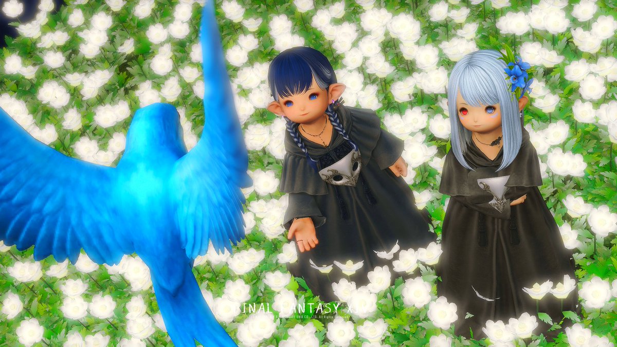 saofeeldlove411's tweet photo. エルピスの花と夜空が綺麗なスタジオ様にお邪魔しました!
これはもう古代人でしょ~!!
#StudioBranch #FF14 https://t.co/JwFnHDhhwC