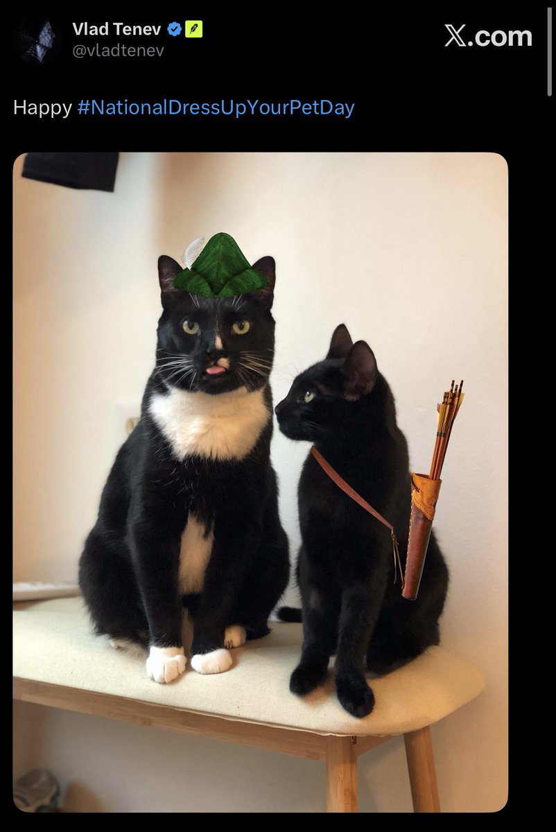 yrd1v's tweet photo. the more i look at catwifbycocket, the more it just makes sense

catwifhat already proved the “wif” meta works.
bycocket already did numbers

and then you have vlad literally posting a cat wearing a bycocket

the lore isn’t being forced

cat + wif + bycocket https://t.co/iE43wl7O1J