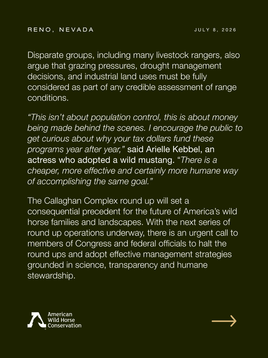 FreeWildHorses's tweet photo. 🚨 Nevada's largest planned wild horse roundup is underway.

Lawmakers and advocates are calling on the BLM to stop helicopter roundups and invest in humane, science-based management.

🐎 Read the full press release in the link in bio.
📣 Share to help keep wild horses wild. https://t.co/e3RKJUhKRL