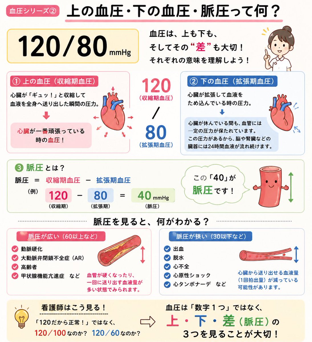 ナースの日々のnote🩺 tweet media