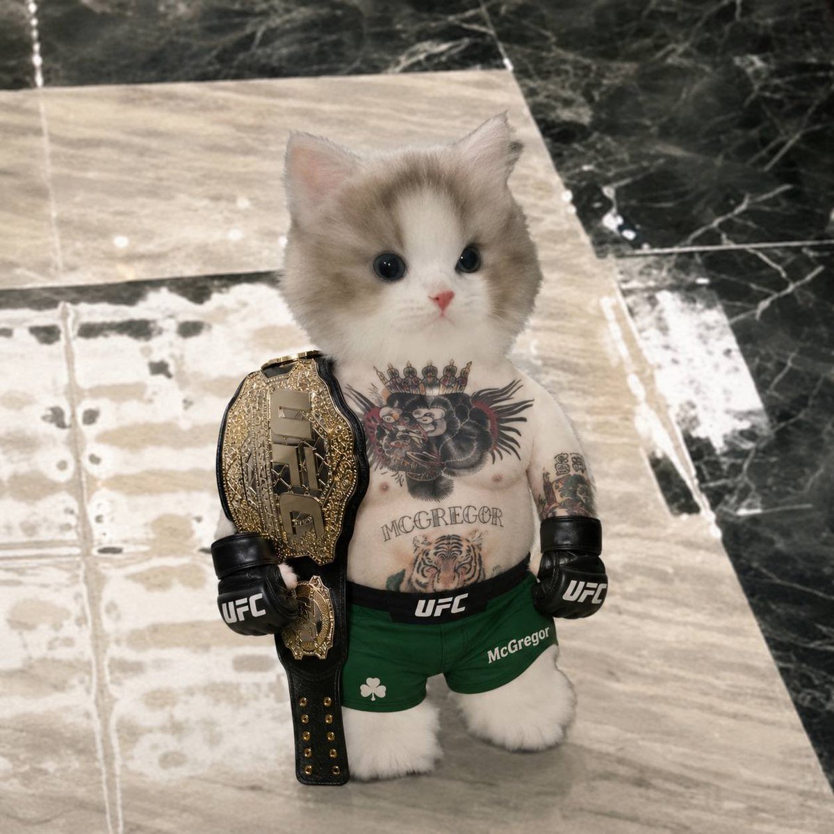 IHoldTooLong's tweet photo. @max21e8 Who you got on the fight tonight? I got miugregor https://t.co/1oGr0jr4iz