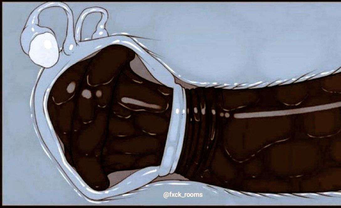 YouBIGGERdaddy's tweet photo. @Nyami_kit 『Un 4.9~~💕
Perdon por no ser muy activo gatita~~🐽🔥』 https://t.co/uc3a6DtDXr