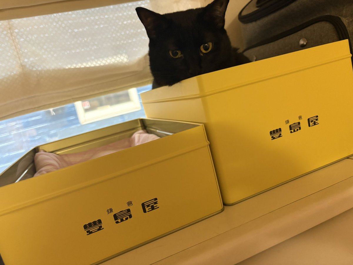 アプデされたのか複数枚画像のALT見れなくなったよ