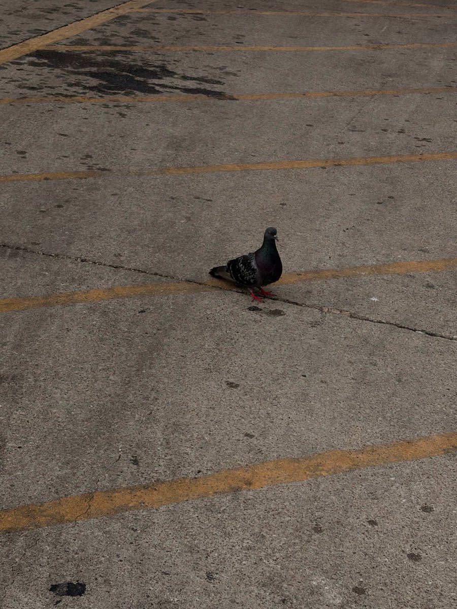 mutherofpeanut's tweet photo. Austin pt. 1 <3 https://t.co/mtOvnVCGyl