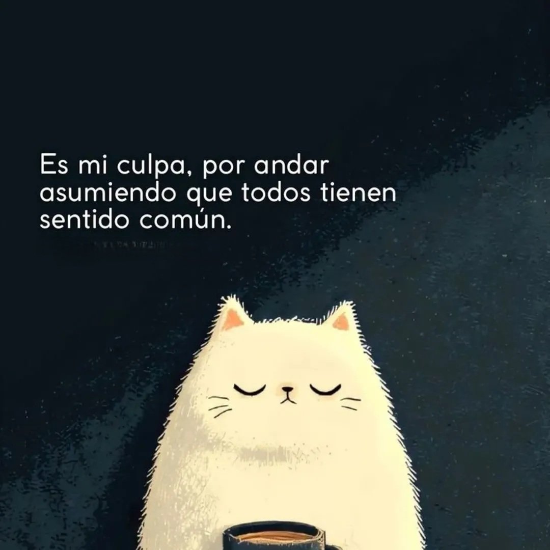 Un_beto_mas's tweet photo. 👇🏼 https://t.co/dkIceEGnKx