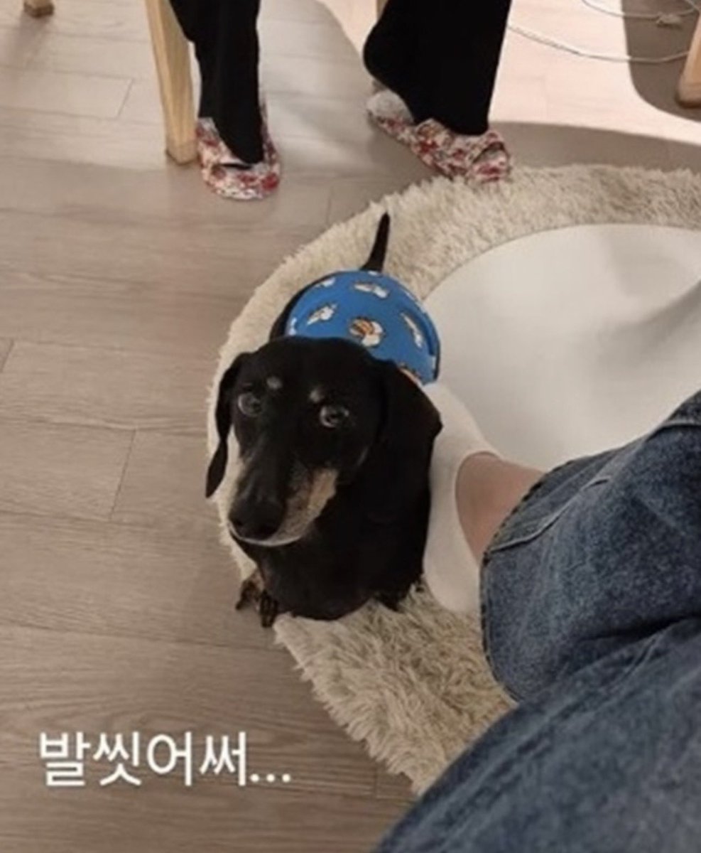 1992__J's tweet photo. 김연아 반려견 영상 갑론을박

1. 
김연아가 SNS에 반려견을 발로 살짝 쓰다듬는 영상을 공개하며 “발 씻었어…“라는 자막을 함께 남김.

2. 
일부 누리꾼들은 반려견을 발로 만지는 건 부적절하다며 비판적인 반응을 보임.

3. 
반면 보호자와 반려견 사이에서는 흔한 교감 방식이라며 과도한 논란이라는 의견도 이어짐.

4. 
전문가들은 행동 자체보다 반려견이 스트레스나 불안 신호를 보이는지가 더 중요하며, 반려견마다 받아들이는 방식이 다를 수 있다고 설명함.

논란이 될 일일까요, 과한 지적일까요?
