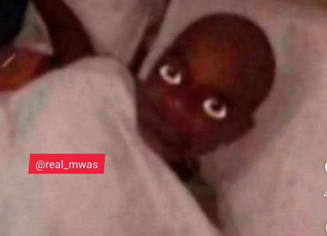 Papi tweet media