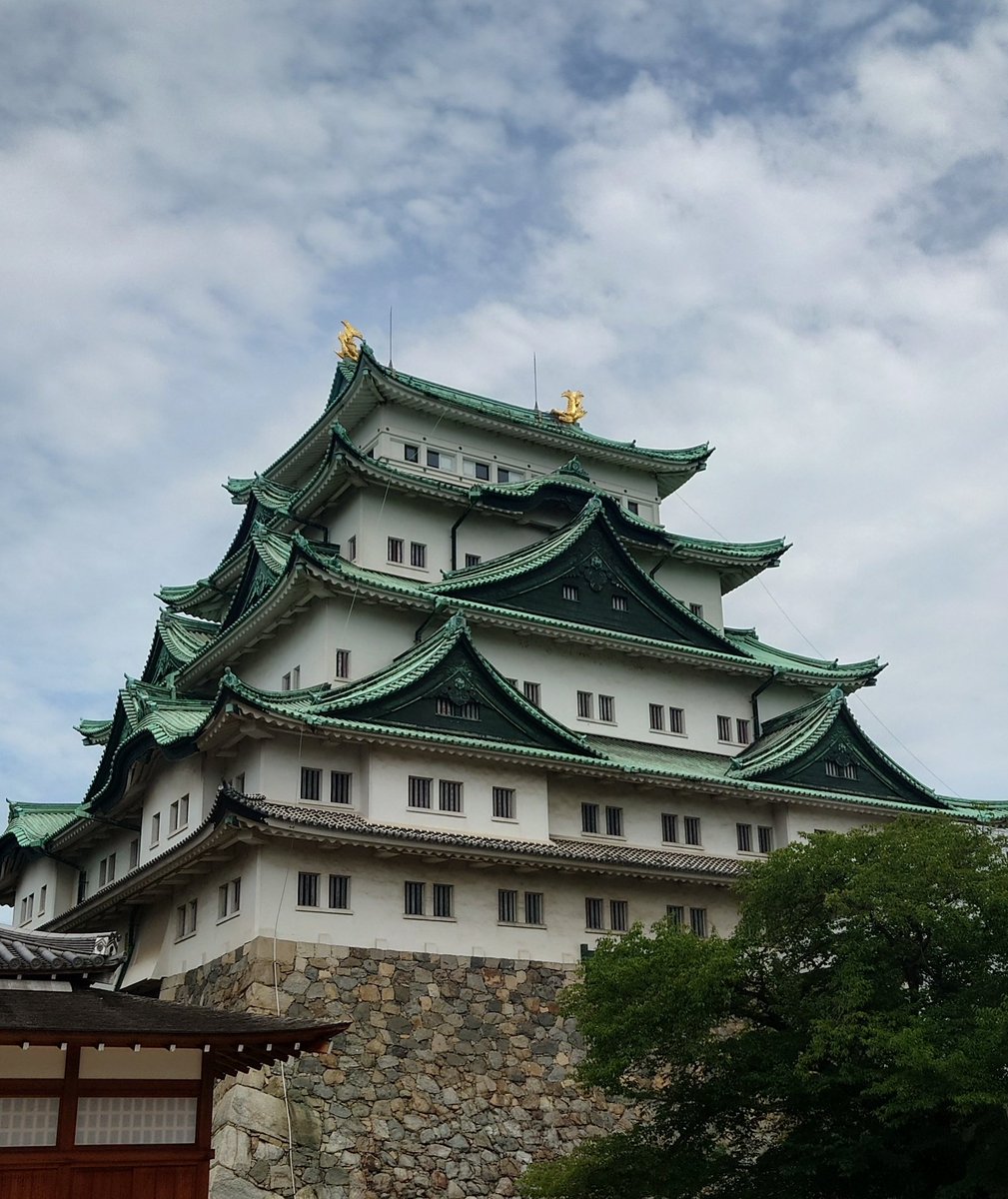 TedFF's tweet photo. 名古屋到着

とりあえず名古屋城見学 https://t.co/oju4L0toAe