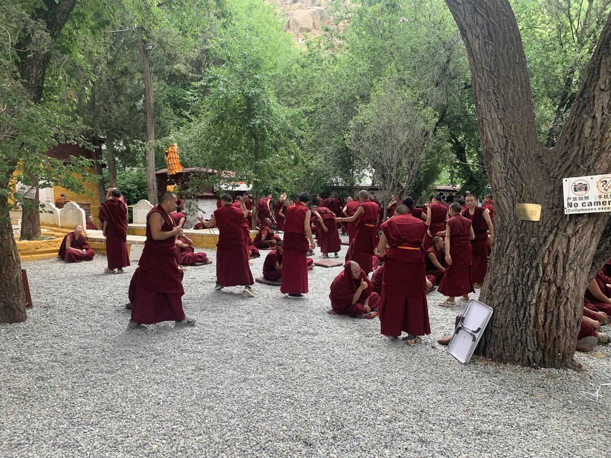 javedhassan's tweet photo. What a load of bollocks. I was in Lhassa just a few weeks bsck. There’s no erasure of religion or language. Temples are full with Tibetans practicing their faith in open. Tibetans use their language all over the place. This exactly why I don’t believe much of what is said about China by western media.