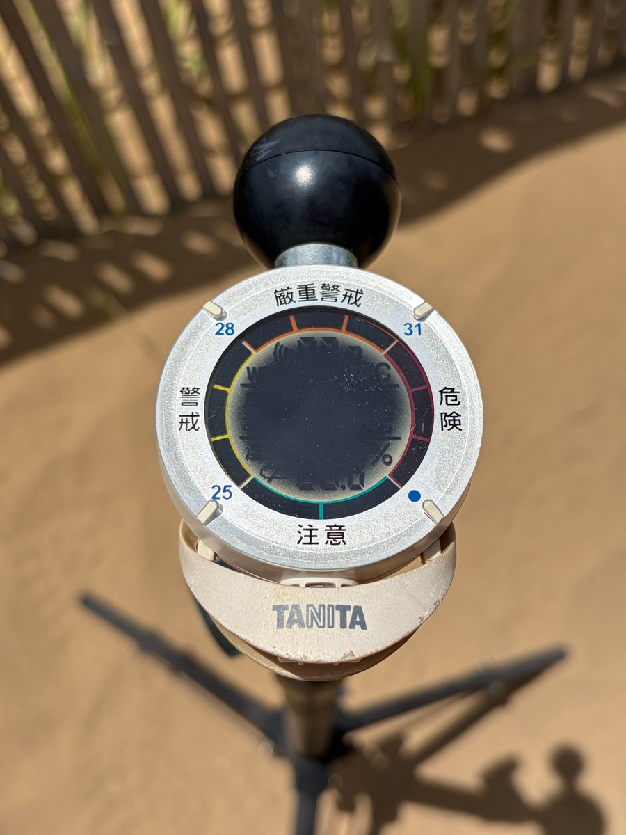 Sakyu_visitor's tweet photo. 7/12(日)　9時ごろから気温は30℃越え。
正午ごろ測定した砂表面温度は、平均65℃！
誰も踏んでいない地点では、なんと72℃😱
実際にヤケドした方もおり
散策時は素足厳禁です！！！

#鳥取砂丘 の暑さ指数を
5年に渡り測定してくれていた
タニタの暑さ指数計は

本��、殉職しました。

#猛暑 https://t.co/dE7HAjYJdO
