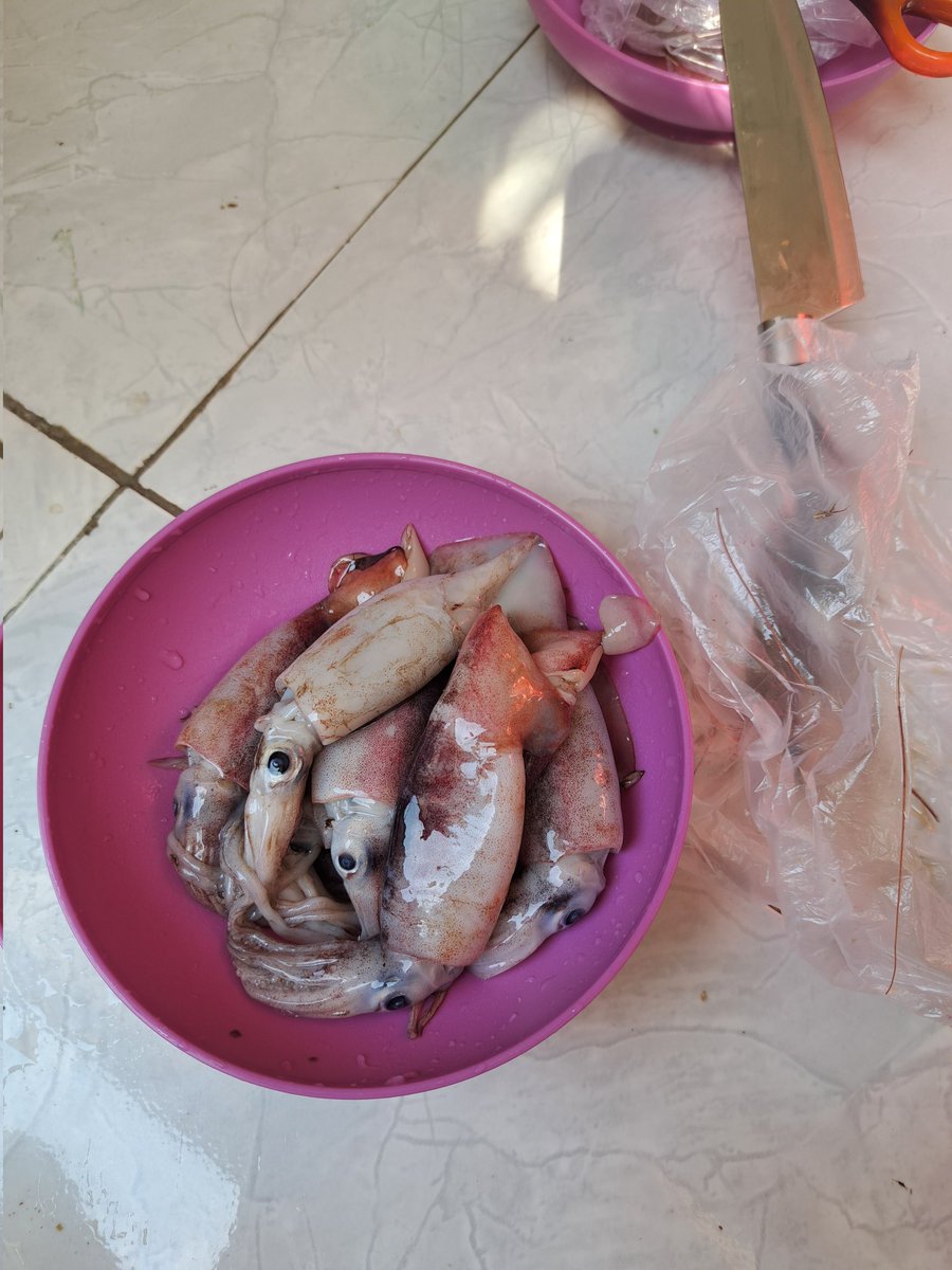 hilo_ting's tweet photo. Pertama kali masak cumi sendiri, biasanya beli jadi..
Bersihinnya tolooongggg, agak geli yee😥😥
Tapi hasil jadinya bikin tambah nasi berkali-kaliiii 🤤🤤🤤🤩🤩🤩 https://t.co/Cq7Afg7vmc