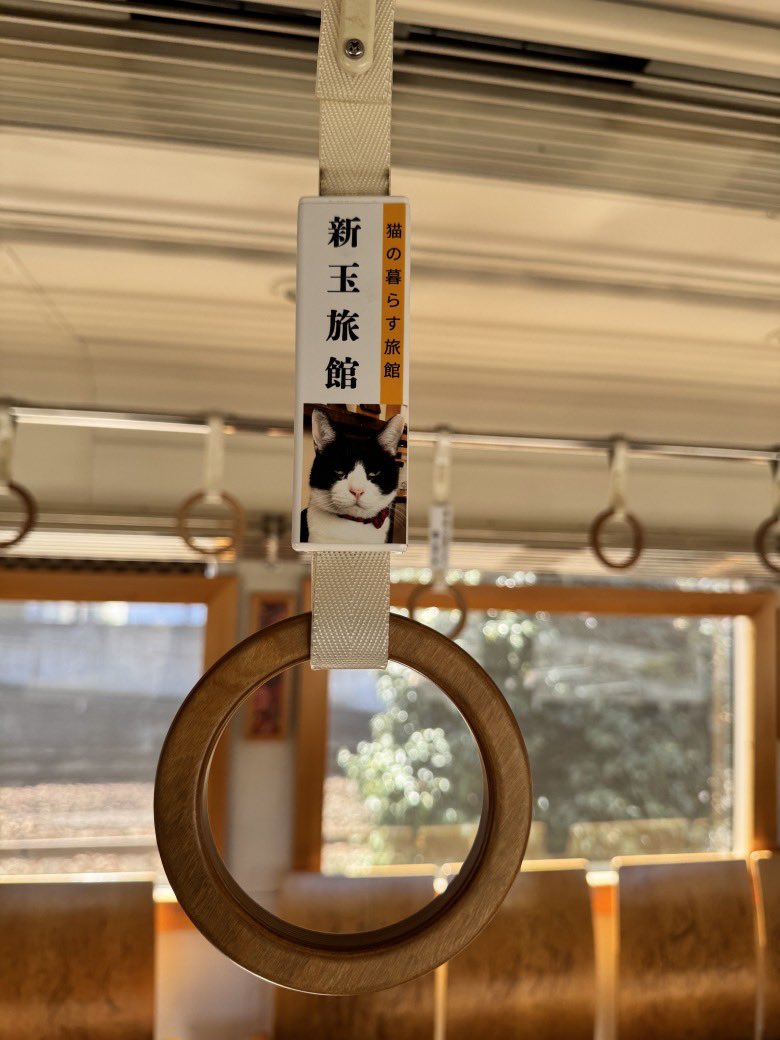 nyantamach222's tweet photo. 以前、くま川鉄道の吊り革スポンサーになったんだけど見てくれた方いますか？

取付車両はKT-501（冬）茶色い車両らしいです https://t.co/6B0buvcqnv