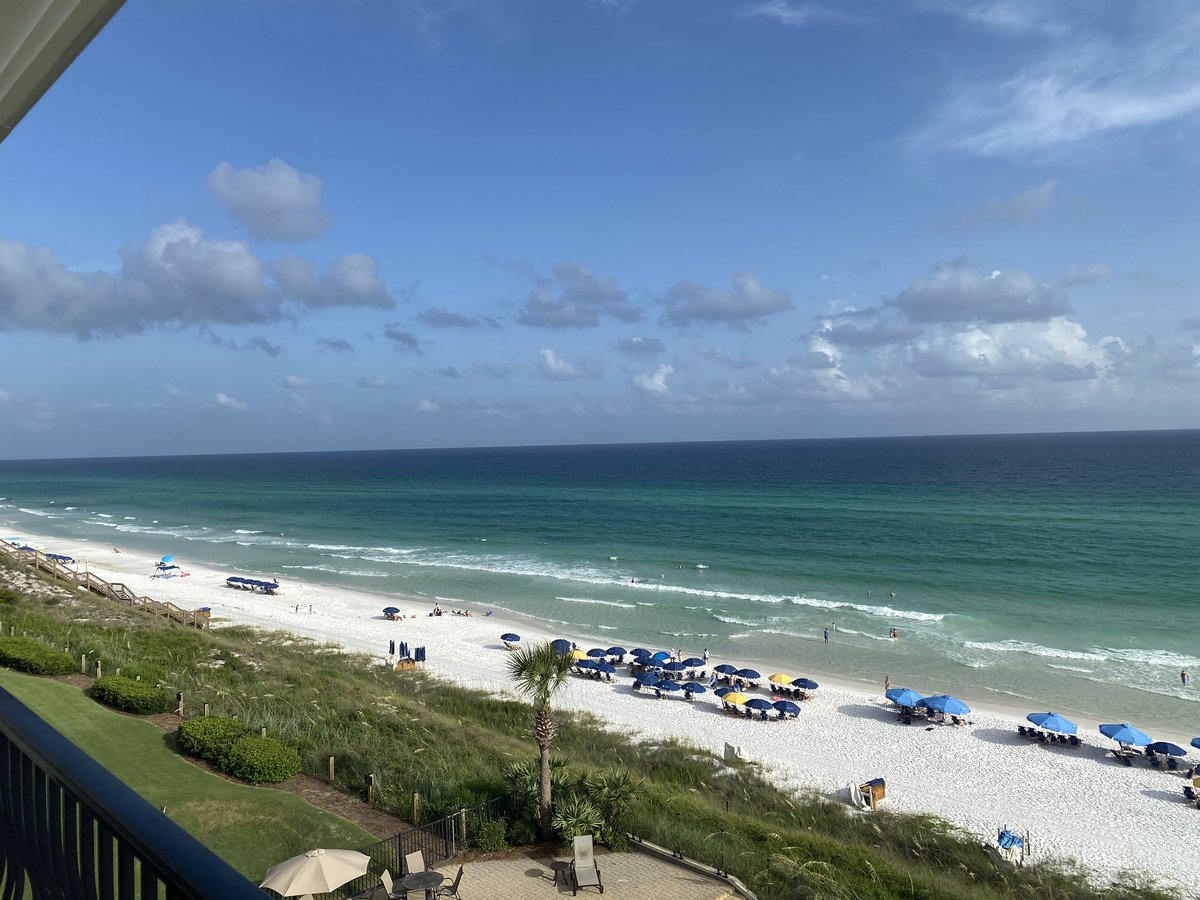 dawgonegenius's tweet photo. IYKYK
#30A
I love The Red Bar https://t.co/EzdXra9tJ3