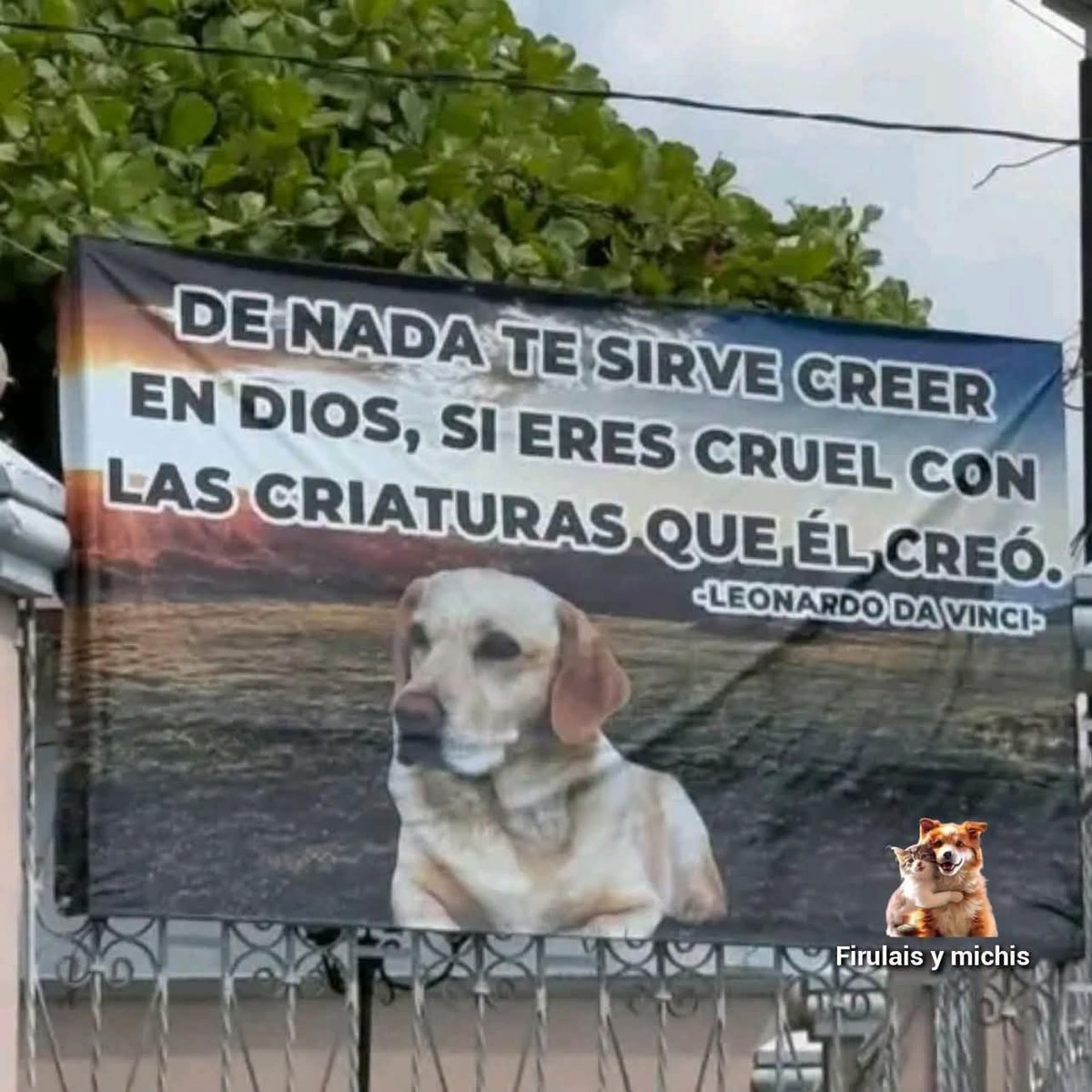 GRamirezF_D12's tweet photo. EXACTO.!. 🎗️ https://t.co/oaJGiVLIrZ