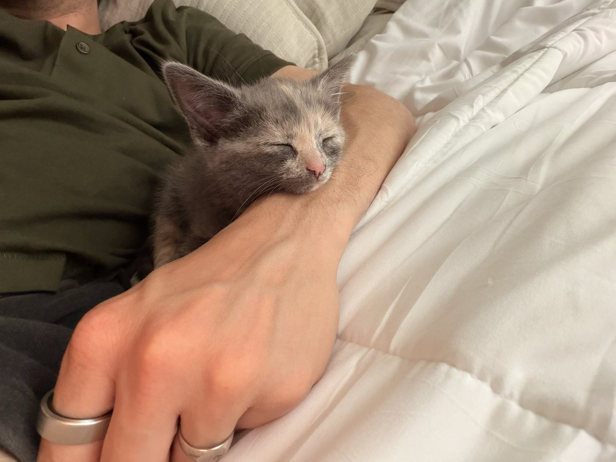 ItsBlarg's tweet photo. baby secured

(She doesn’t have a name yet, but I would die for her) https://t.co/q47pYdDlgu
