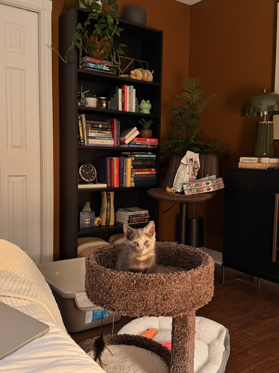 ItsBlarg's tweet photo. baby secured

(She doesn’t have a name yet, but I would die for her) https://t.co/q47pYdDlgu