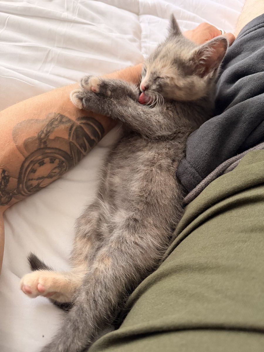 ItsBlarg's tweet photo. baby secured

(She doesn’t have a name yet, but I would die for her) https://t.co/q47pYdDlgu