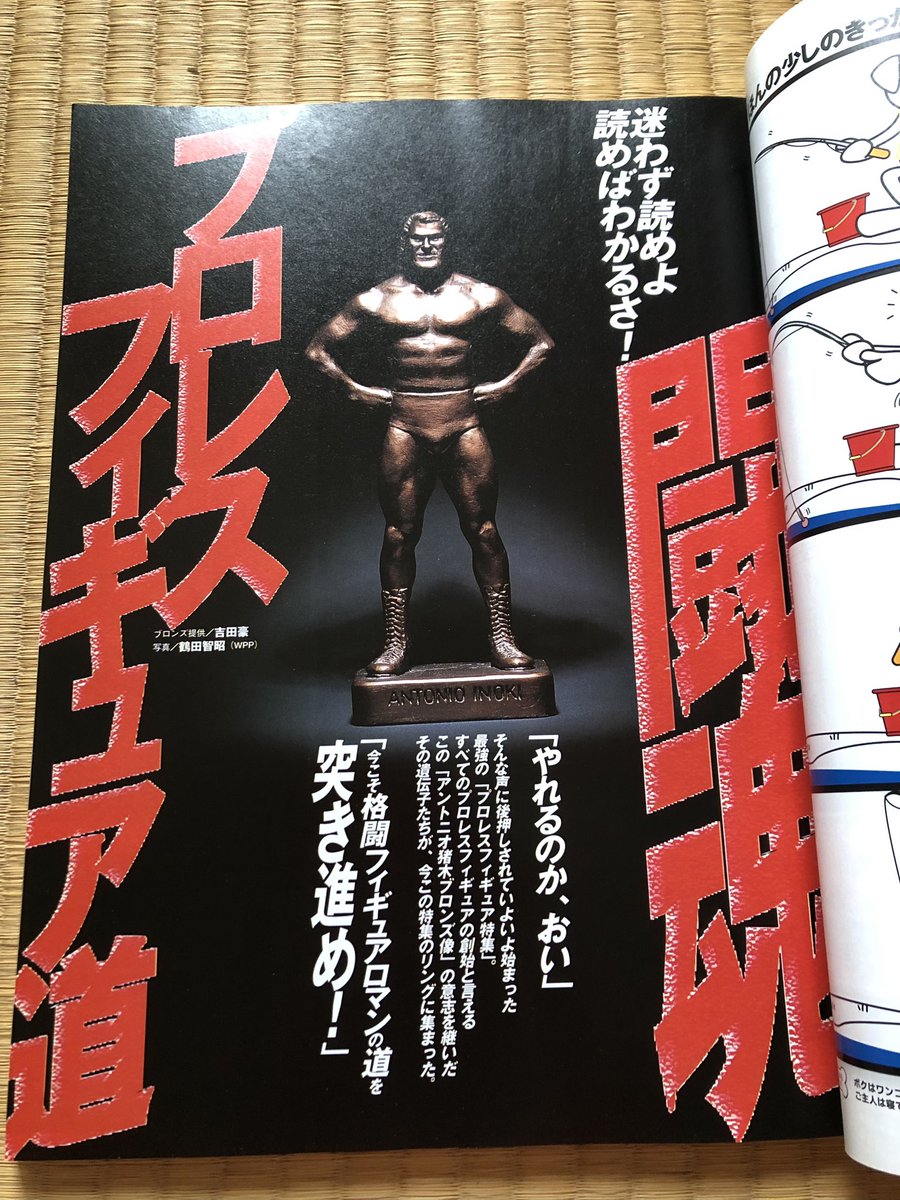 フィギュア王のプロレス特集号を発見。三沢さんやノーフィアーの