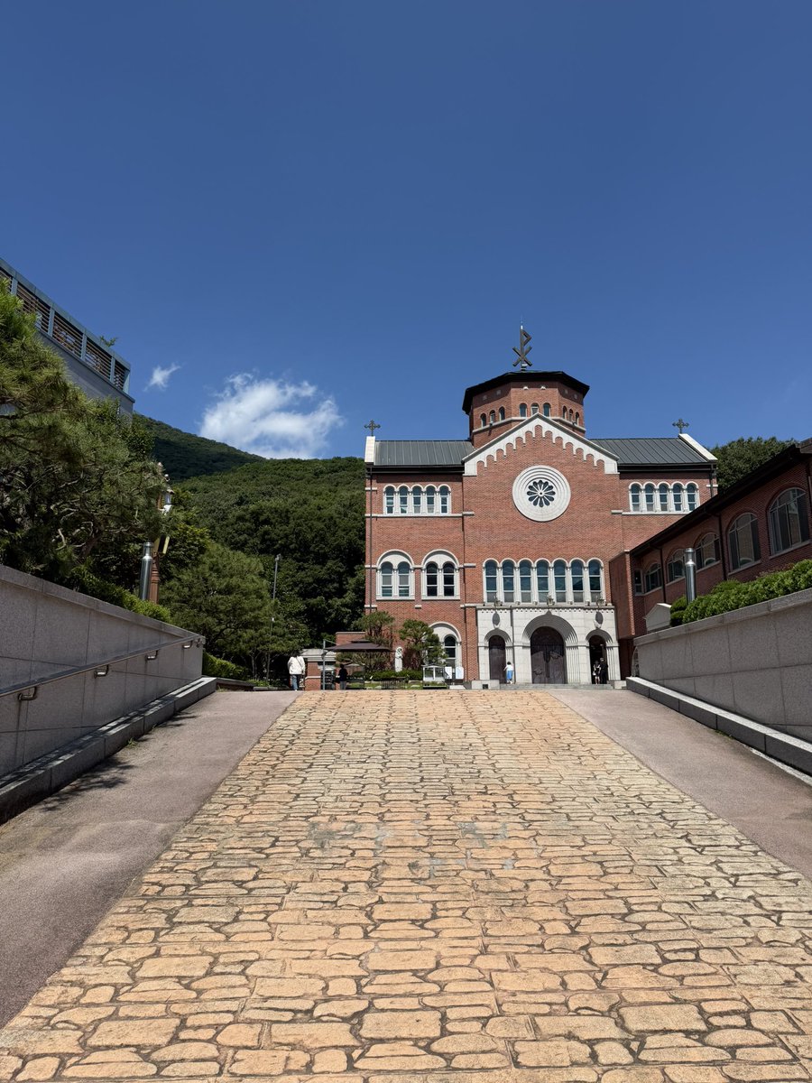 핀돌 tweet media