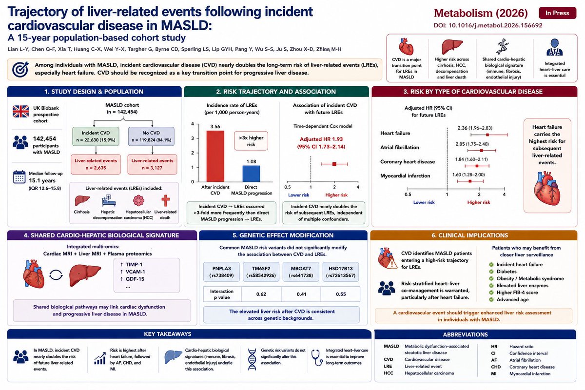 changmyung1981's tweet photo. Trajectory of liver-related events following incident cardiovascular disease in MASLD: A 15-year population-based cohort study
Metabolism (2026, in press)
DOI: 10.1016/j.metabol.2026.156692 

> ❤️🫀🩺 In MASLD, a cardiovascular event is more than a cardiac complication—it marks a major escalation in future liver risk. Individuals who develop incident cardiovascular disease (CVD) experience nearly double the subsequent risk of liver-related events, highlighting the need for integrated heart–liver care.

Although MASLD is widely recognized as a risk factor for cardiovascular disease, the reverse clinical trajectory has received far less attention. Using 142,454 UK Biobank participants with MASLD followed for a median of 15.1 years, investigators demonstrate that developing CVD identifies a subgroup at substantially greater risk for cirrhosis, hepatic decompensation, hepatocellular carcinoma, and liver-related death. 

Key findings

❤️ Among 142,454 individuals with MASLD, 22,630 (15.9%) developed incident cardiovascular disease and 2,635 subsequently experienced liver-related events during long-term follow-up.

📈 The transition from CVD → liver-related events occurred at 3.56 per 1,000 person-years, more than threefold higher than direct progression from MASLD → liver-related events (1.08 per 1,000 person-years).

⚠️ Time-dependent Cox analysis showed that incident CVD nearly doubled future liver-related event risk (adjusted HR 1.93, 95% CI 1.73–2.14), independent of demographic, metabolic, hepatic, and lifestyle risk factors.

🫀 Risk differed across cardiovascular phenotypes, with heart failure showing the strongest association, followed by atrial fibrillation, coronary heart disease, and myocardial infarction.

🧬 Integrated cardiac MRI, liver MRI, and plasma proteomics identified a shared biological signature linking cardiac dysfunction with hepatic injury, enriched for immune activation, extracellular matrix remodeling, fibrosis, and endothelial inflammation, including proteins such as TIMP-1, VCAM-1, and GDF-15.

🧬 Common MASLD susceptibility variants (PNPLA3, TM6SF2, MBOAT7, HSD17B13) did not significantly modify the association, suggesting that the elevated liver risk after CVD extends across genetic backgrounds.  

Why it matters

This study reframes cardiovascular disease in MASLD as a clinical transition point rather than simply a competing complication. After a cardiovascular event—particularly heart failure—patients enter a substantially higher-risk trajectory for progressive liver disease. While the study does not establish causality, it provides strong evidence that incident CVD identifies patients who warrant closer hepatic evaluation.

Rather than recommending universal liver surveillance, the authors advocate risk-stratified heart–liver co-management, prioritizing patients with heart failure, diabetes, obesity, elevated liver enzymes, higher FIB-4, or other markers of advanced metabolic risk. The work strengthens the concept that MASLD should be managed as a multisystem cardiometabolic disease, where coordinated hepatology and cardiology care may improve long-term outcomes beyond either specialty alone.