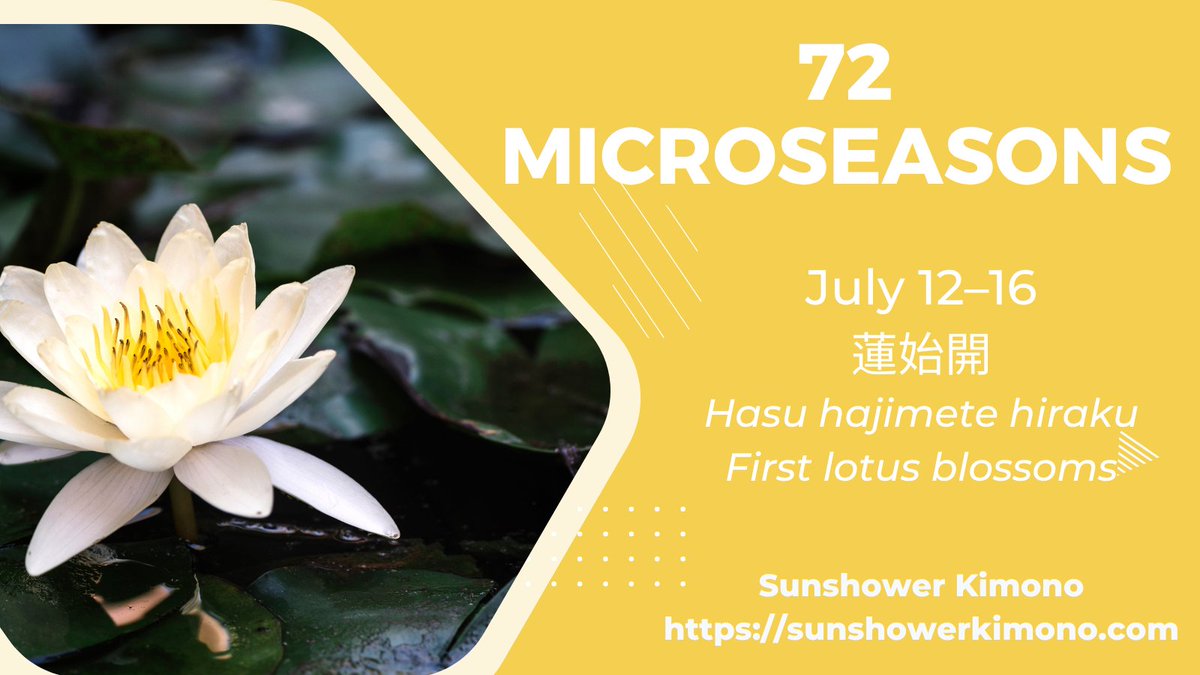 sunshower_atlr's tweet photo. One of my favorites - the Thirty third Microseason of the Year! 

Do you own any kimono with Lotus on them?

#Japan #kimono https://t.co/m7ANA0y0py