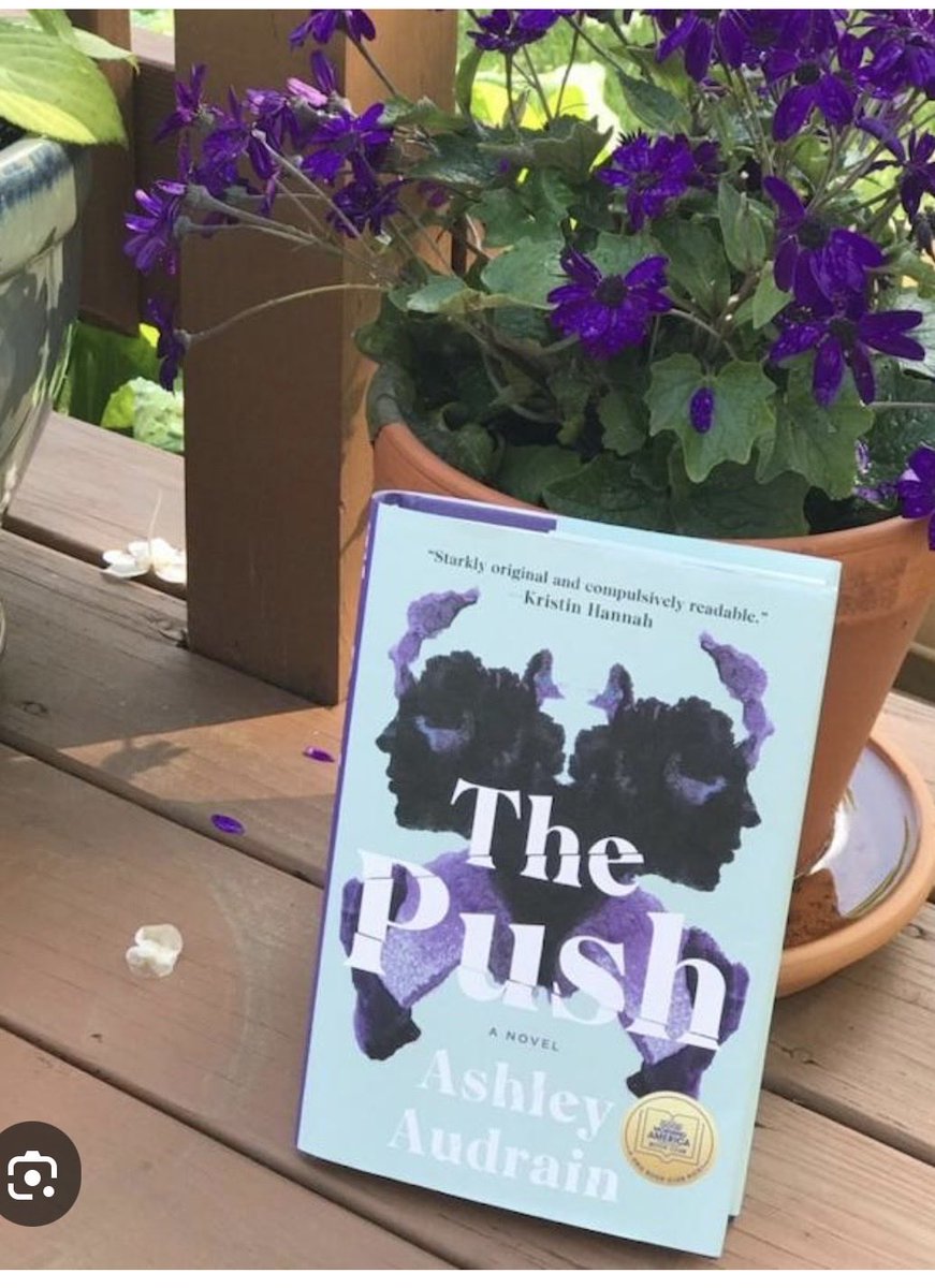 ChristineNanfra's tweet photo. Just finished The Push andโฆ wow. A reminder that the most unforgettable stories are the ones that make you question everything you thought you knew. ๐ #BookLover #ThePush #AmReading #BookReview https://t.co/e3WUXQYNY1