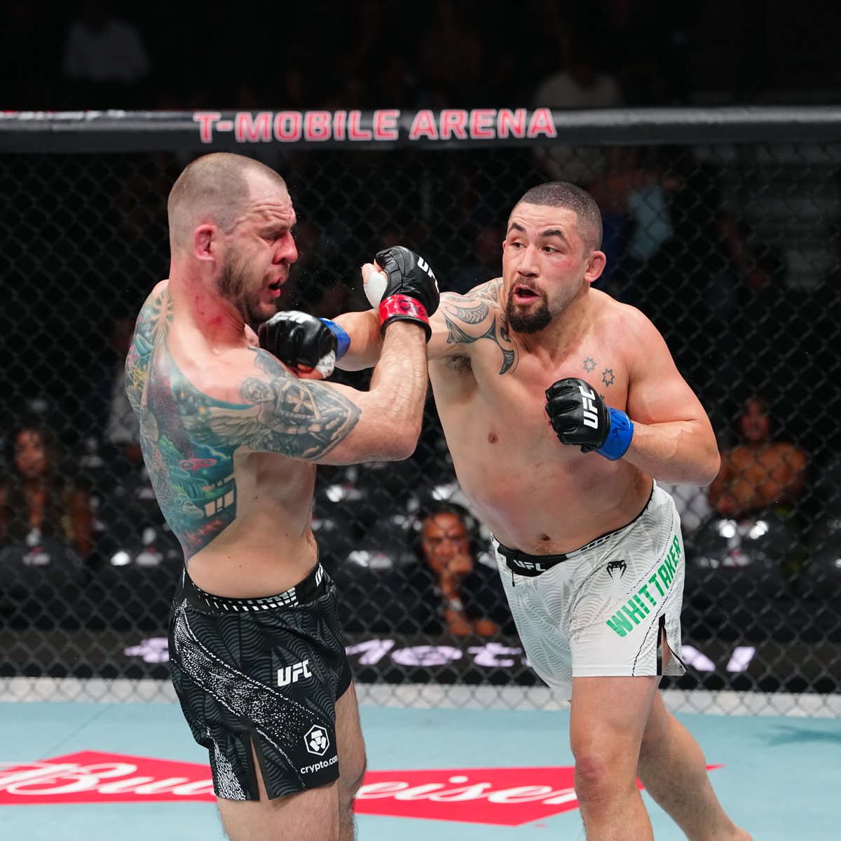 UFC News tweet media