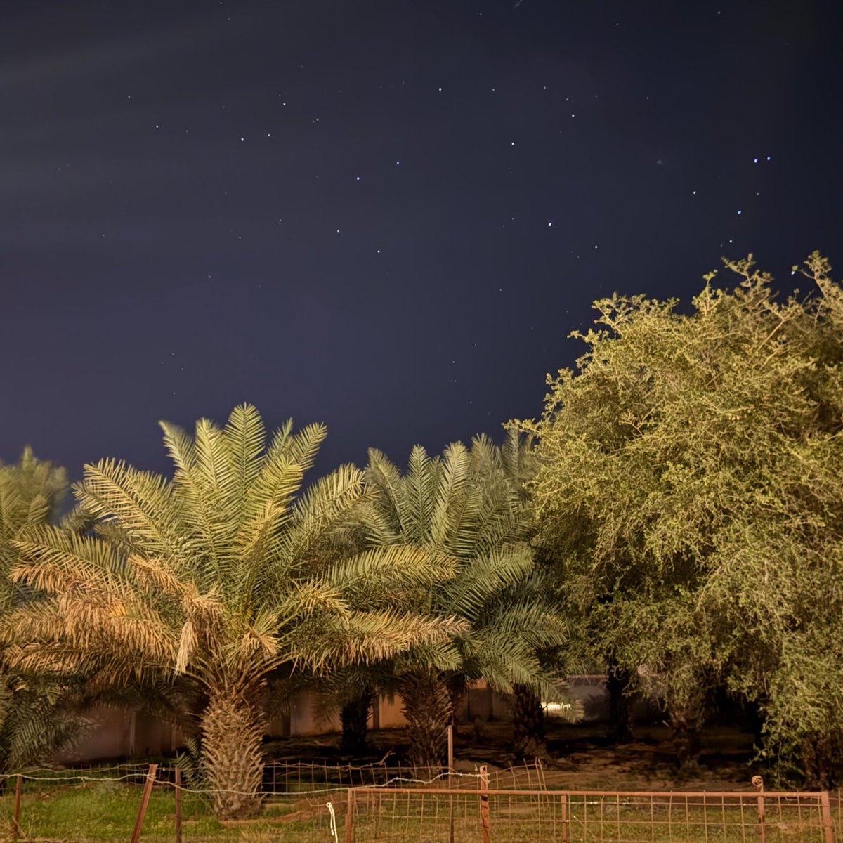 diwe12's tweet photo. 🐪🌴 https://t.co/MmL5nfE23P