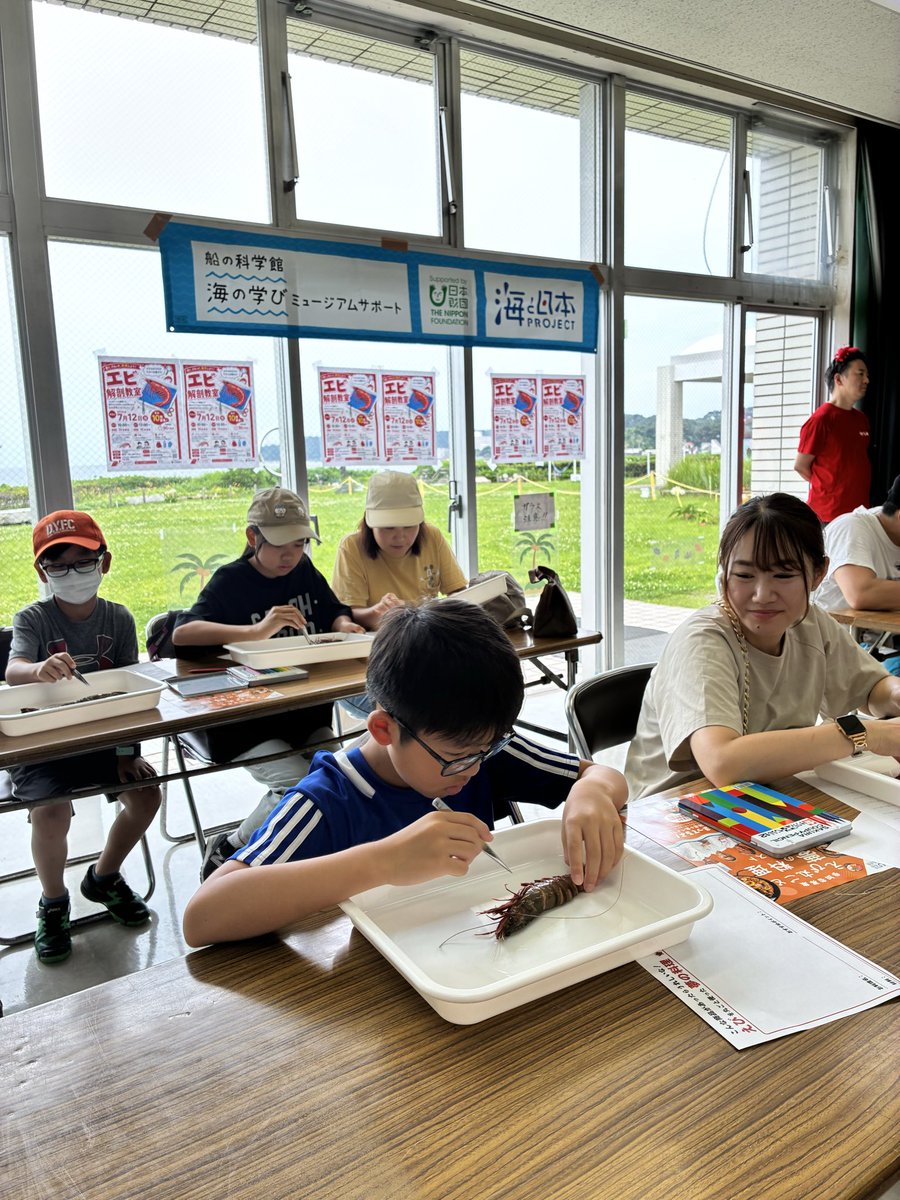 everyday_ebi's tweet photo. 観音崎自然博物館
「えび解剖教室」前半スタート！

🦐海老の胃袋はどこ？
🦐ウコロはあるの？
🦐口の中に歯はあるの？

特別協力：船の科学館「海の学びミュージアムサポート」

#えび解剖教室 #観音崎自然博物館 #自由研究 #親子イベント https://t.co/oEqILJOgy3
