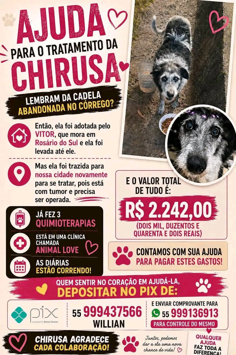 AliFontes301's tweet photo. #Brasil #mundialdefútbol2026 #ayuda #adopcionresponsable #Perros #animal #dog #pix https://t.co/0lbuDZyeZf