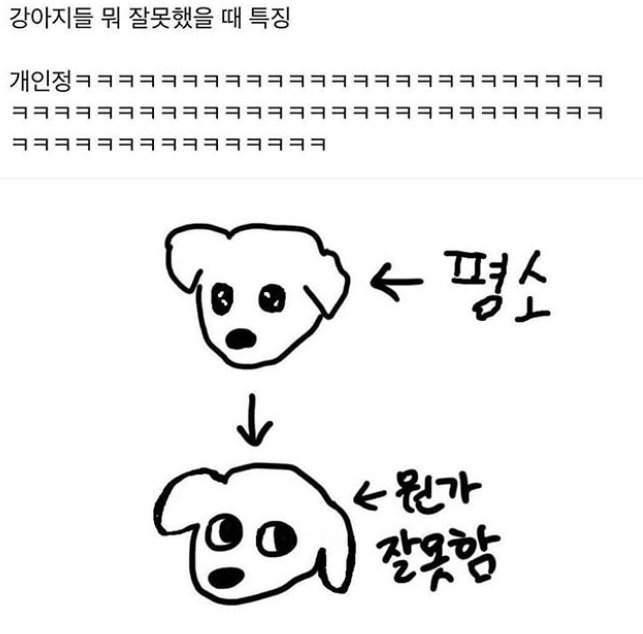 spcr7244's tweet photo. @meojyan9 https://t.co/3Wpxph3TO0