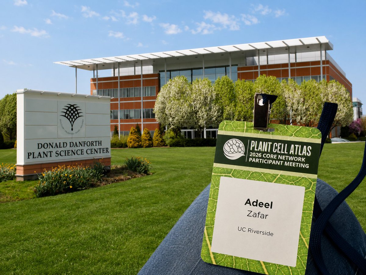 adeelzafarpbg's tweet photo. It was a truly amazing experience attending plant @CellAtlas core network meeting at @DanforthCenter. Truly grateful to Sue Rhee and Julia Bailey-Serres for providing me this incredible opportunity to be part of a great community, and Marc Libault for countless efforts https://t.co/iGRS2vostP