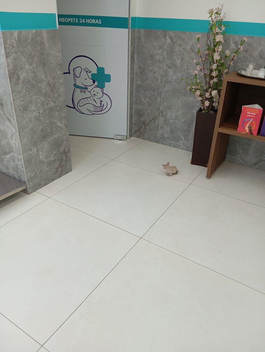 DanyMarx's tweet photo. Fico com tanta dó do baby pietro que tudo que posta dele acaba hitando de tão judiado que o bichinho é. Lembro quando postei essa consulta dele no tiktok. Bichinho pesava 300gramas https://t.co/1ksEferbxk