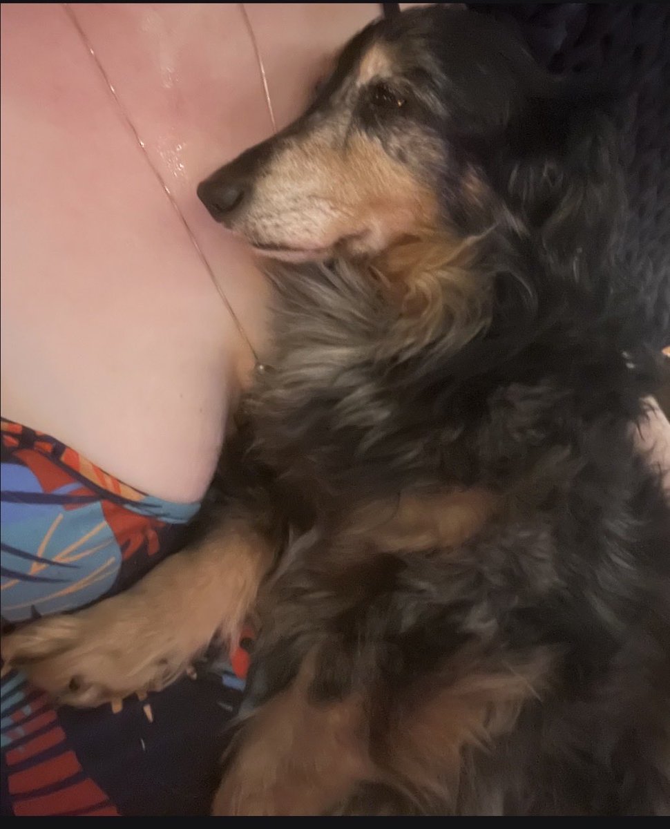 Goddess0fFin's tweet photo. I had to put my soul dog down on Wednesday &amp; my stalker (a woman) is sending people to harass me &amp; destabilize me more like she did when my first dog died 6 months ago.  

Be kind: give to your goddess: 
https://t.co/aPDfU2iP7t https://t.co/NTAqlB5PiN