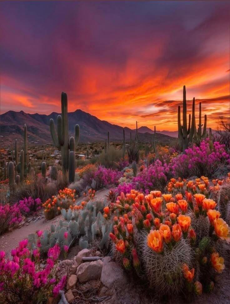 naturee01's tweet photo. Which one most is your favorite?🤔 https://t.co/4X2fyb58dS