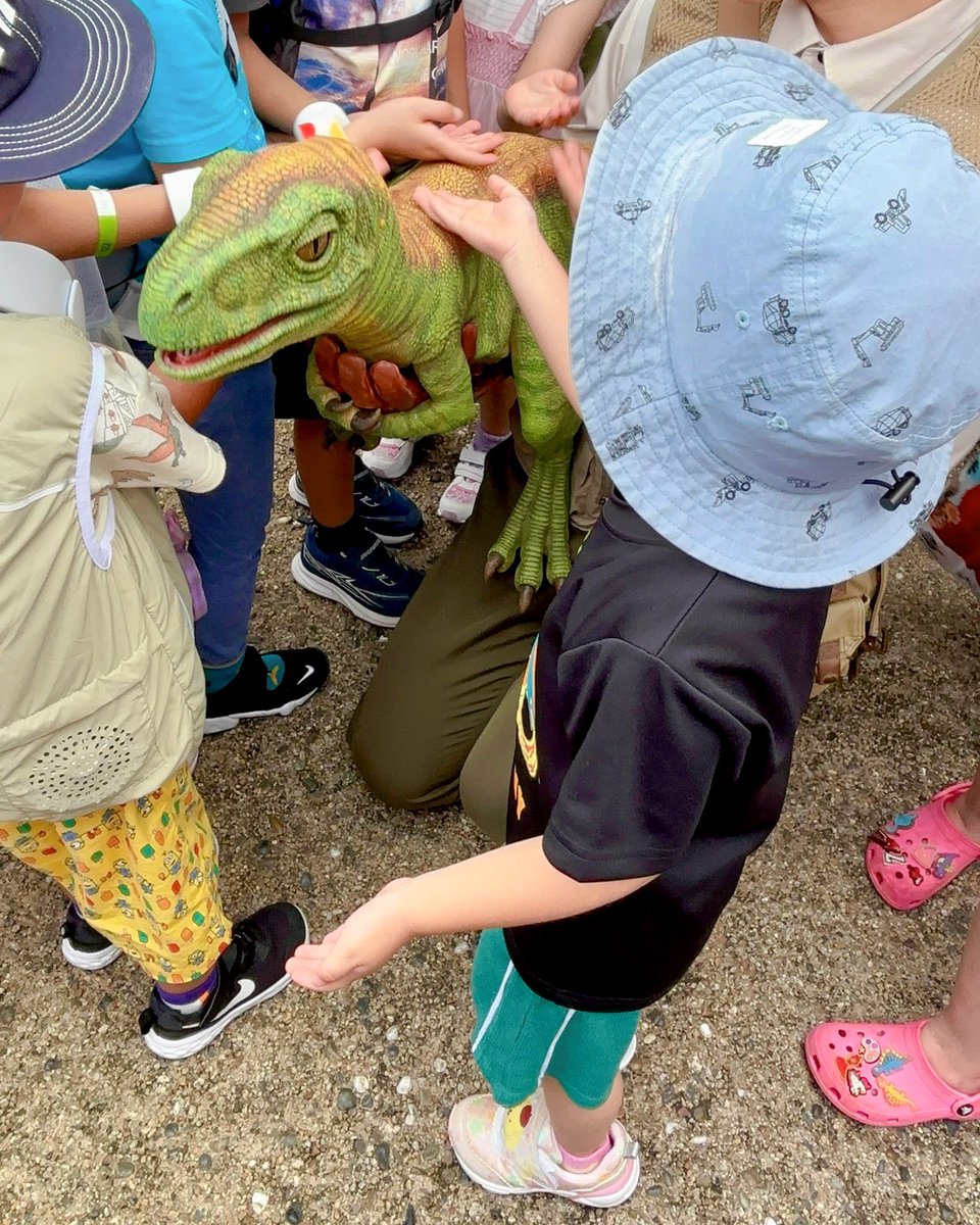 11shimo11's tweet photo. 恐竜の赤ちゃんに会うのを楽しみに楽しみにしていた子ども、いざ赤ちゃんを目の前にすると緊張&amp;緊張でふれ合いが全くできず…߹𖥦߹
でも次の回では勇気を出してふれ合うことができました。1日のなかで成長を感じられてグリに感謝🥲✨
 #USJジュラシックワールドメモリー　#USJファン https://t.co/YlD9EnRLaA
