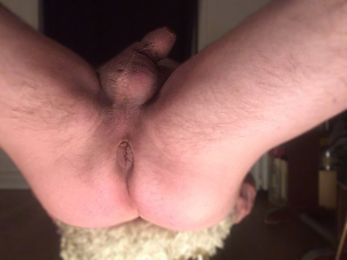anton_jostl's tweet photo. @BBC_Daddy4sluts I want a big black cock to get my ass pounded like that! https://t.co/5HfBWYzqXK