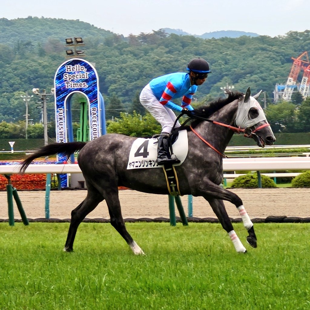 YamaninClub's tweet photo. 福島3R 3歳未勝利 で、 #ヤマニンリンキング がデビューします。
リコール、アラバスタ、アドーレと続く芦毛の継承者。姉兄たちに続く走りの始まりに注目です👊 https://t.co/glqXBFgwbl