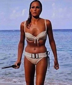DRowland7708's tweet photo. @ATRightMovies The 2 piece bikini that changed the world. https://t.co/gjfPoQ2Cov