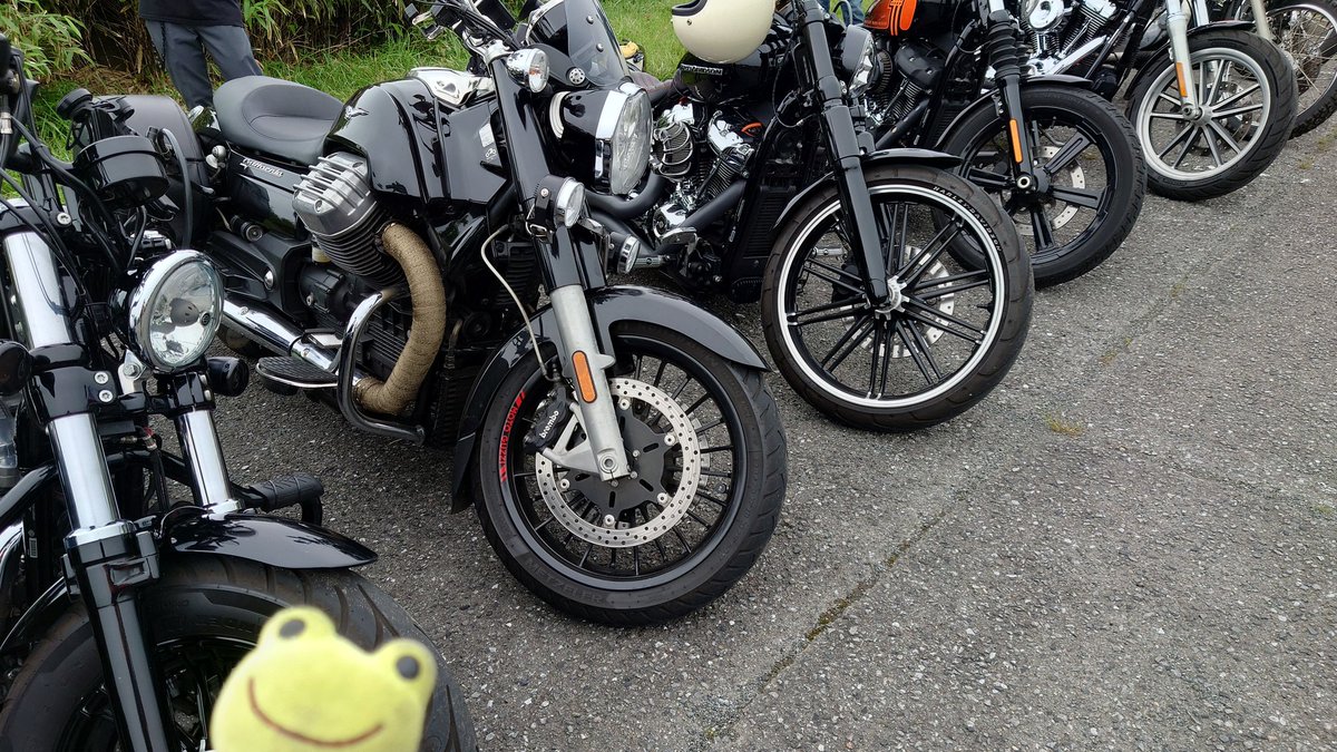 U119740725's tweet photo. 縦Vのモトグッツィが！ 1400ccとの事 縦Vのシャフトドライブのモトグッツィも興味津々 少しずつ台数が増えてきました 今のとこ最小排気量だぜ💪🐸 あ！今リード125が💦 883R最小排気量ゲットならず😭 ハーレーでは一番小さいけど☆ #ぬい撮り #かえるのピクルス #ハーレー #883R #MIDカフェ https://t.co/8SMiDETZWw