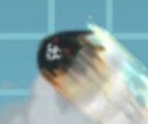 エジェオ(サブ) tweet media