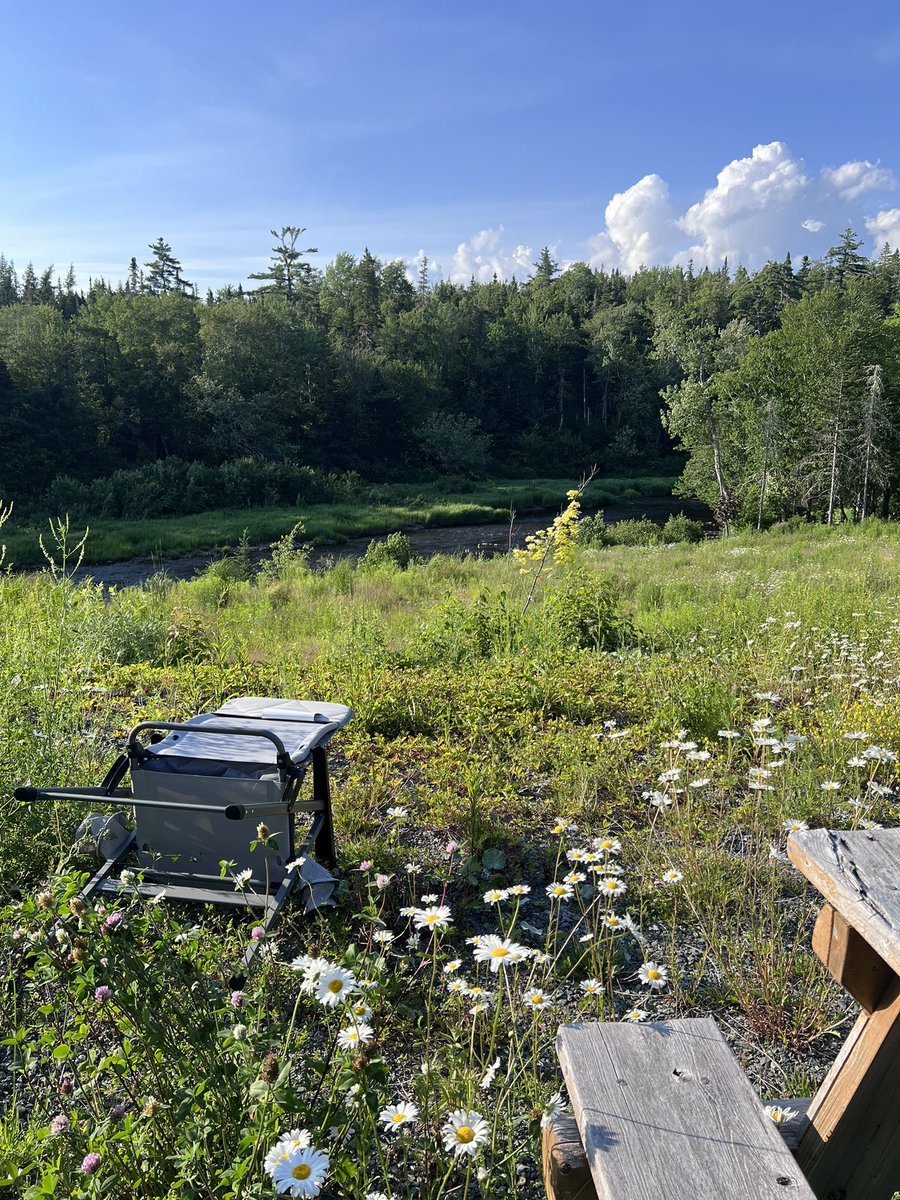 thenameskareem's tweet photo. In wilderness https://t.co/oN9FIOR6gK