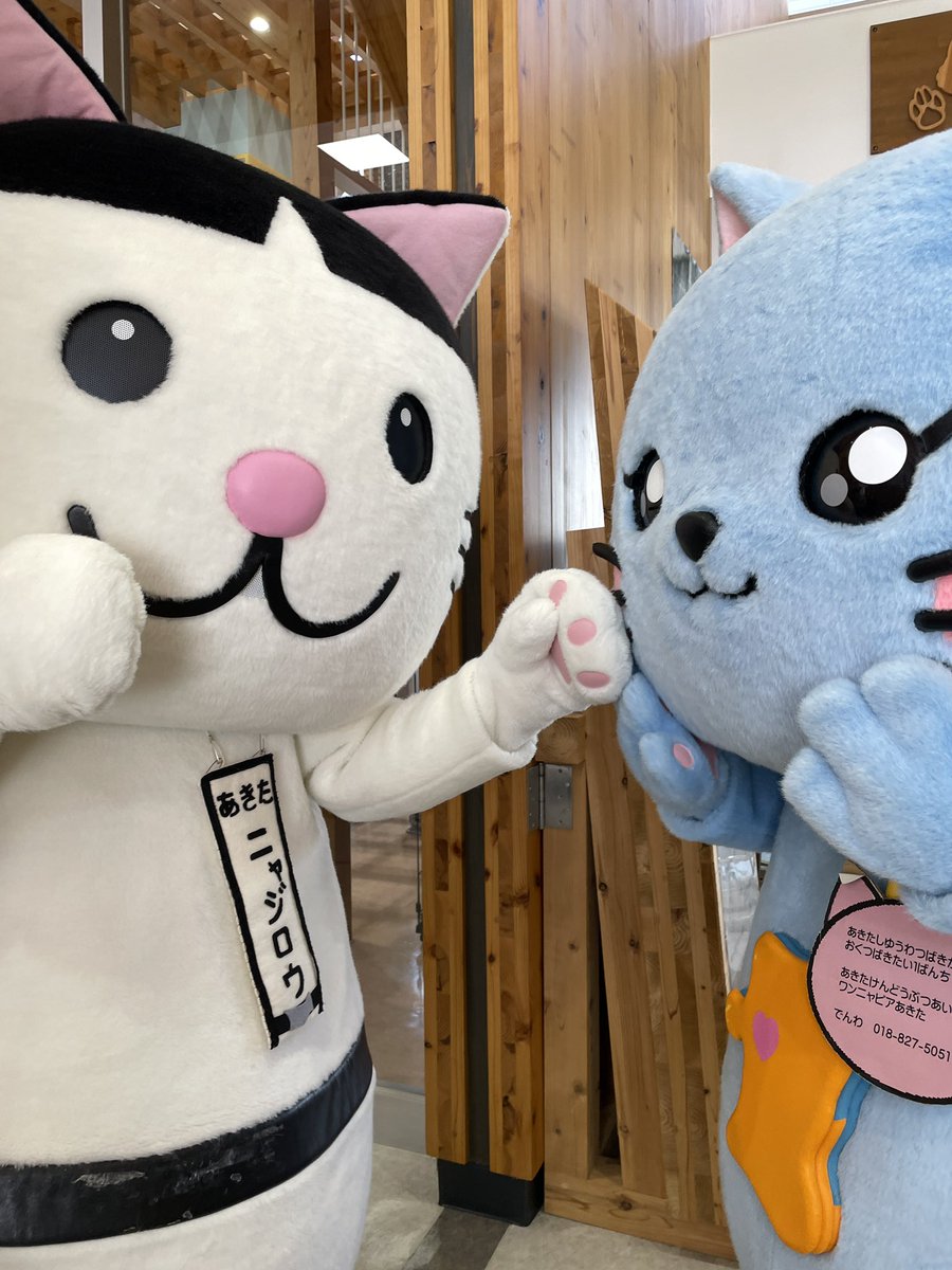 ∇・)おはにゃーん！ぴとっ